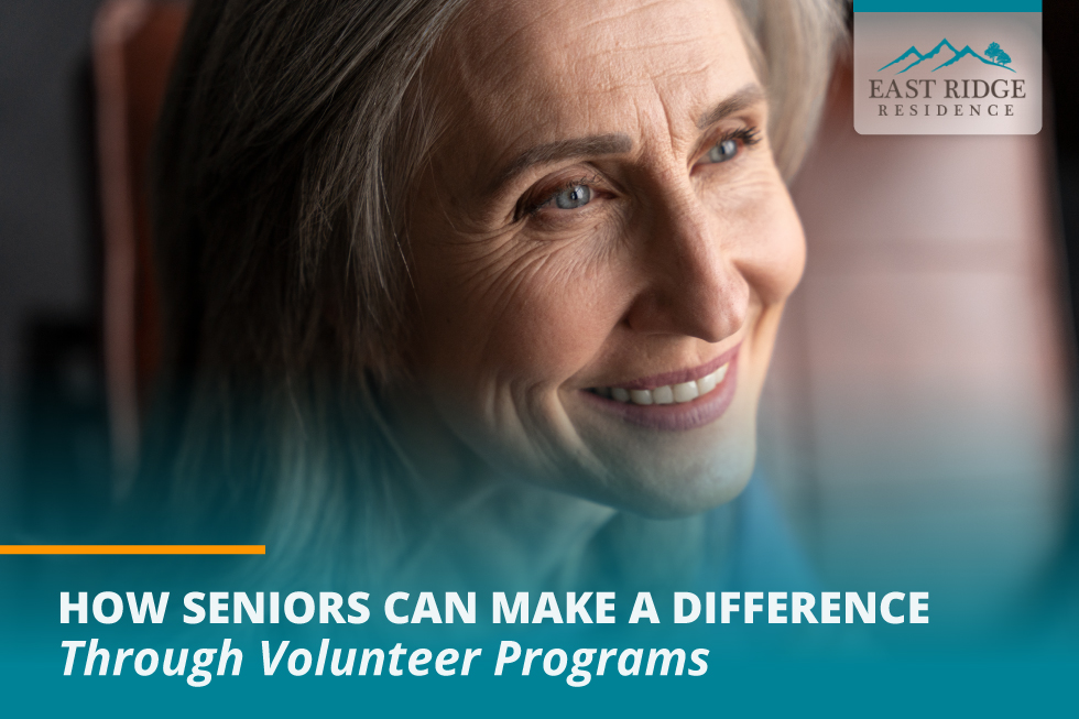 How Senior Citizens Can Make a Difference Through Volunteer Programs